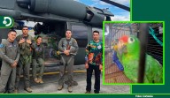 Operación aérea le dio una segunda oportunidad a 22 animales silvestres rescatados del tráfico ilegal
