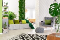 De pared vacía a rincón verde. Paso a paso: cómo hacer un jardín vertical interior