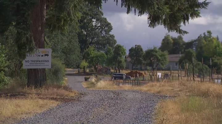 67 animals recover at sanctuary after Thurston rescue