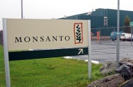 Monsanto Settles Lawsuits Over Toxic Chemicals at Seattle School