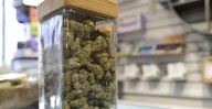 Denver's Dankest Dispensary Deals