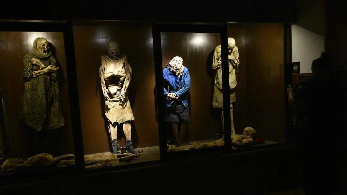 Analizan integrar momia hallada en el Panteón Sur al Museo de Celaya