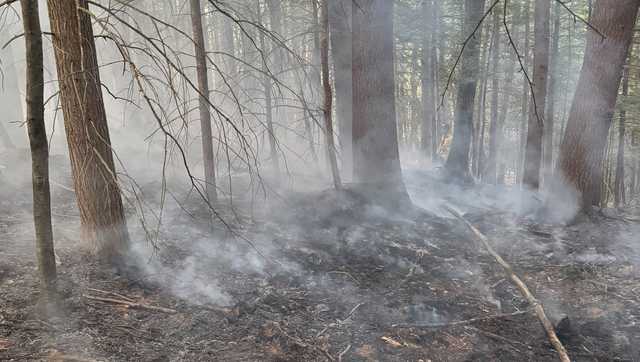 Brush fire in Keene under investigation, officials say