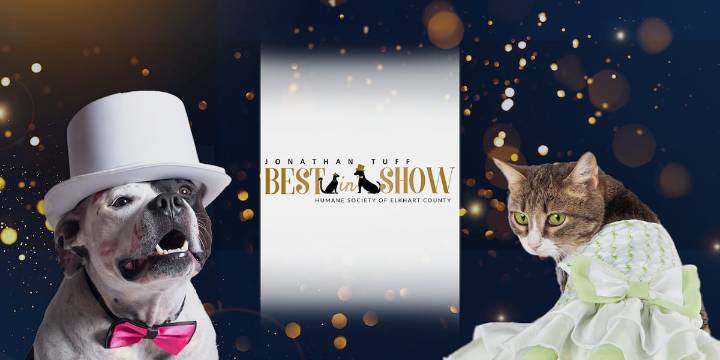 Humane Society of Elkhart County raises over $1 million at Best in Show fundraiser