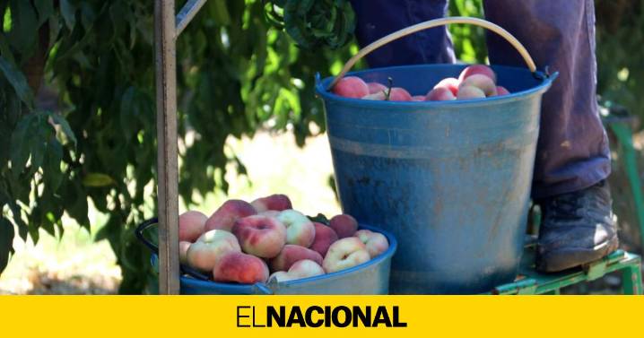 El temporero de Alcarràs murió por un fallo cardiorrespiratorio provocado por la ola de calor