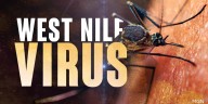 First West Nile Virus case of 2025 recorded in Dane County