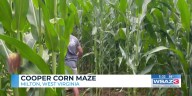 Cooper Corn Maze