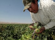 Calor extremo, amenaza mortal para millones de trabajadores expuestos a la intemperie