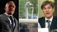 How the fate of a herd of ostriches on a small B.C. farm caught the attention of the Trump administration