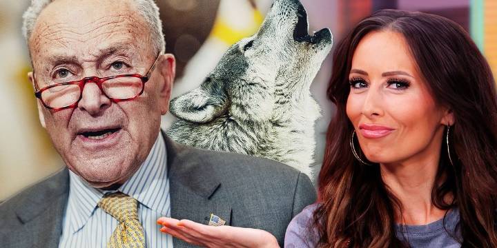 Democrats crying wolf about a ‘threat to democracy’ backfires