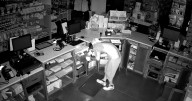 Temple Police investigate burglary, vandalism at local feed and supply store