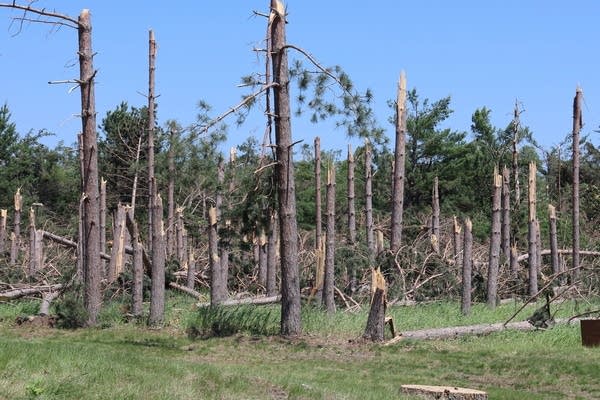 Six weeks later, Bemidji still struggles after storms