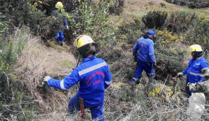 Proyectos con impacto ambiental deberán cumplir más compensaciones: CAR