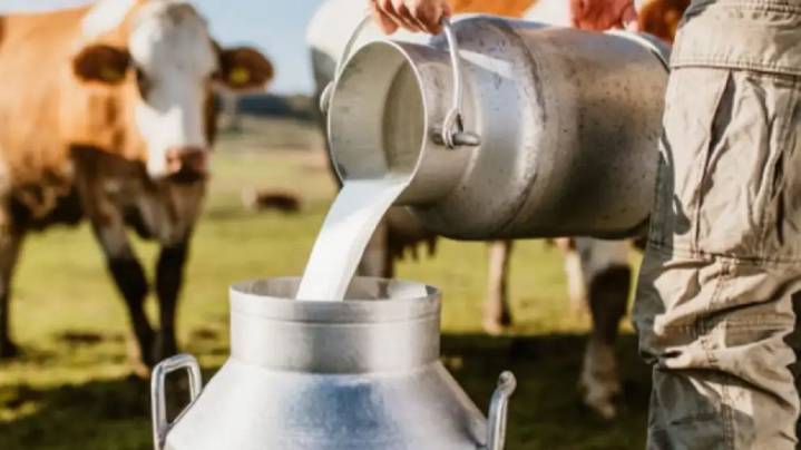 Productores lecheros advierten una falta de incentivo a la hora de colocar tambos nuevos