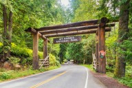 Outrage Erupts Online After Tourists Feed Wildlife In Mount Rainier National Park