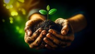 Poesía y música para creer en el futuro