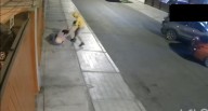 Trujillo: Cámara registra asalto a una joven (VIDEO)