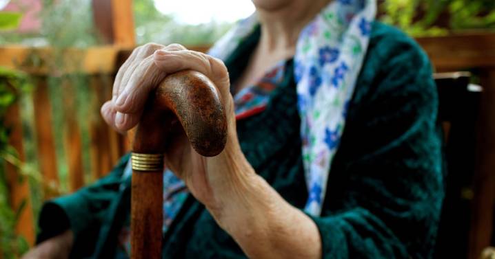 ¿Qué es la autofagia? El mecanismo clave para un envejecimiento saludable
