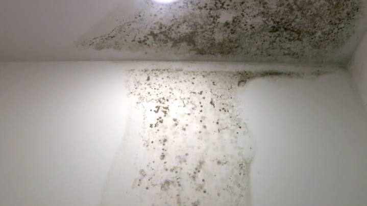 Monrovia Flats Apartments residents complain of moldy apartments, plea for cleanup help