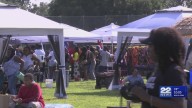 Springfield hosts third annual African Community Festival