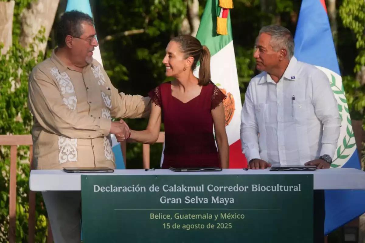 Claudia Sheinbaum anuncia creación del Corredor Biocultural Gran Selva Maya junto a Belice y Guatemala