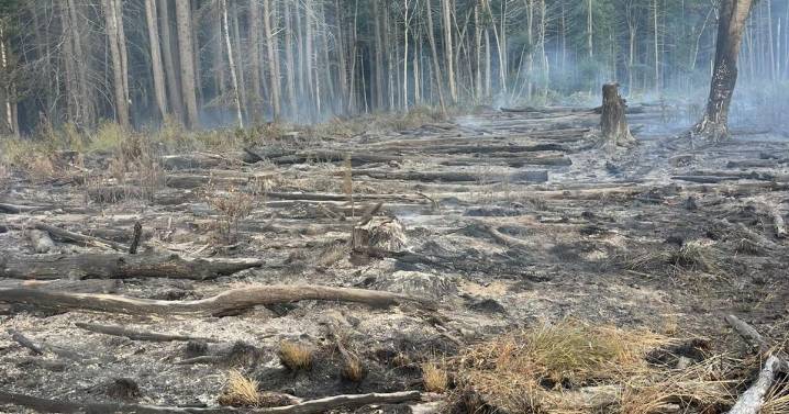 Firefighters knock down 5-acre brush fire in North Hampton