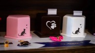 Tulancingo: Cremación de animales una alternativa para el cuerpo de tu mascota