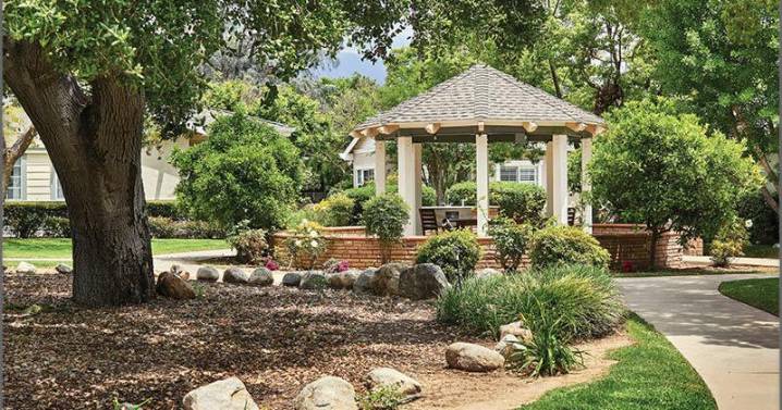 Hillcrest Senior Living Offers an Ideal Community for Solo Agers