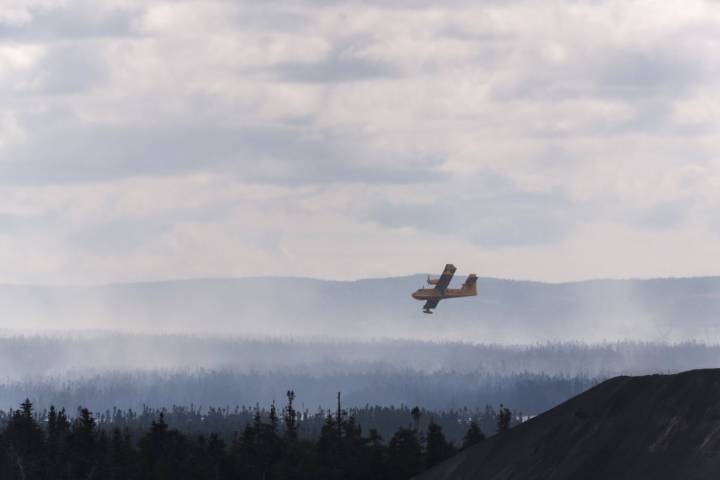 Newfoundland town's water supply runs dry amid parched conditions driving wildfires