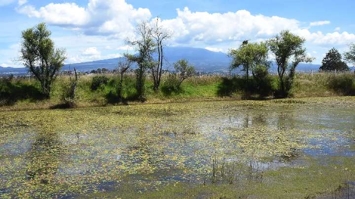 Respalda Sheinbaum programa de jagüeyes en Tlaxcala con inversión federal
