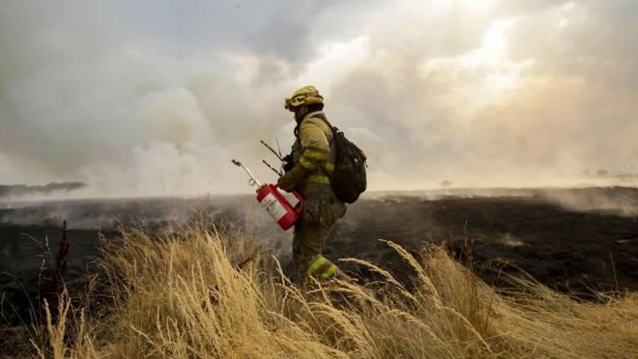 Denuncian los bomberos forestales: "Caos, falta de medios y jornadas de hasta 21 horas"