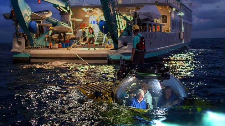 El océano, según David Attenborough: la "última batalla" por la supervivencia del planeta