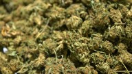 Georgia hemp businesses sue over new restrictions