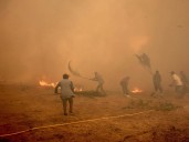 España: en apenas una semana hubo ocho "mega incendios" de más de 10.000 hectáreas