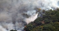 España vive el año de mayor devastación por el fuego