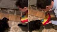 New York Man’s Proposal Comes With A Twist That Made Both The Woman And Her Dog Say Yes