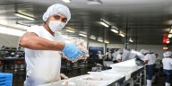 PBI de Perú crece a 3,75% a la primera mitad del 2025: Las razones detrás de los resultados de cada sector