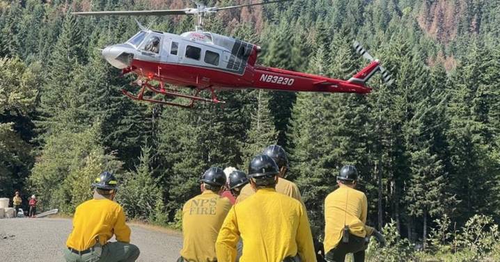 Trump’s Crackdown Spreads to Arresting Firefighters as They Tackle Wildfires