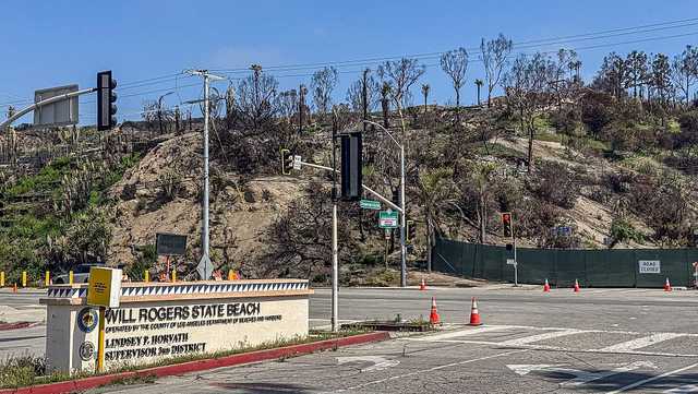Maui, LA wildfires tied to health problems, new studies show