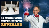 Exposed: Here Are 10 More Hideous Mad Science Experiments Fauci Funded