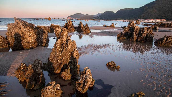 Más de 1.600 toneladas de alga asiática en tres días: ese es el balance del problema en las playas de Noja
