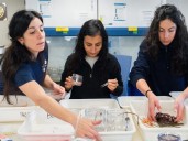 Durante la exploración submarina, científicos del Conicet descubrieron 40 nuevas especies