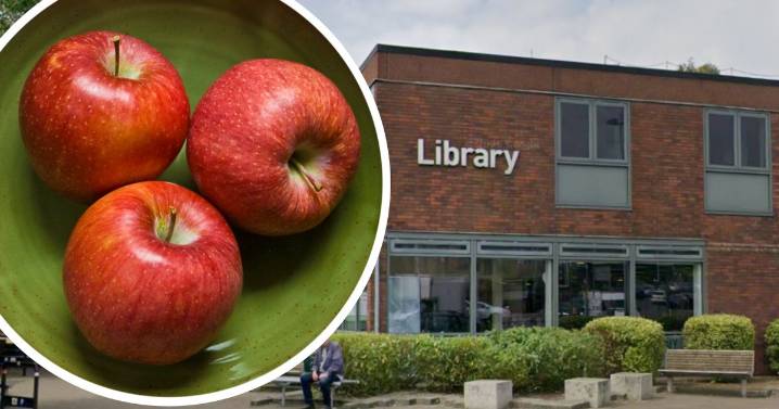 Youths accused of throwing apples at heads of punters from roof of library in Isaac Newton