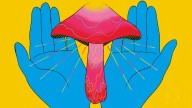 High priests: why scientists gave magic mushrooms to the clergy
