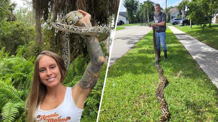 Woman wins 2025 Florida Python Challenge as record amount of snakes removed