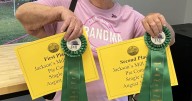 Jackson's Mill Jubilee calls for entries in annual pie contest