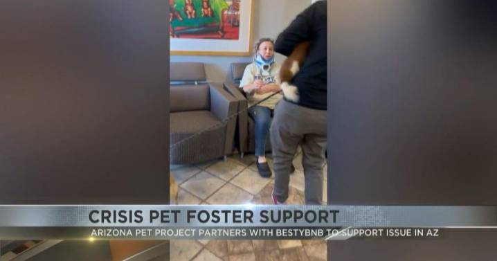 Arizona Pet Project aids pet owners in crisis