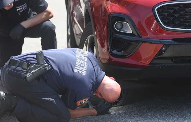 Arrestada tras atropello y fuga
