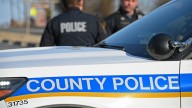 One dead after vehicle collision in Owings Mills