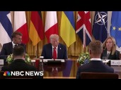 Europeans joining Zelenskyy for Trump meeting shows ‘strength in numbers’: Fmr. Amb. Bill Taylor